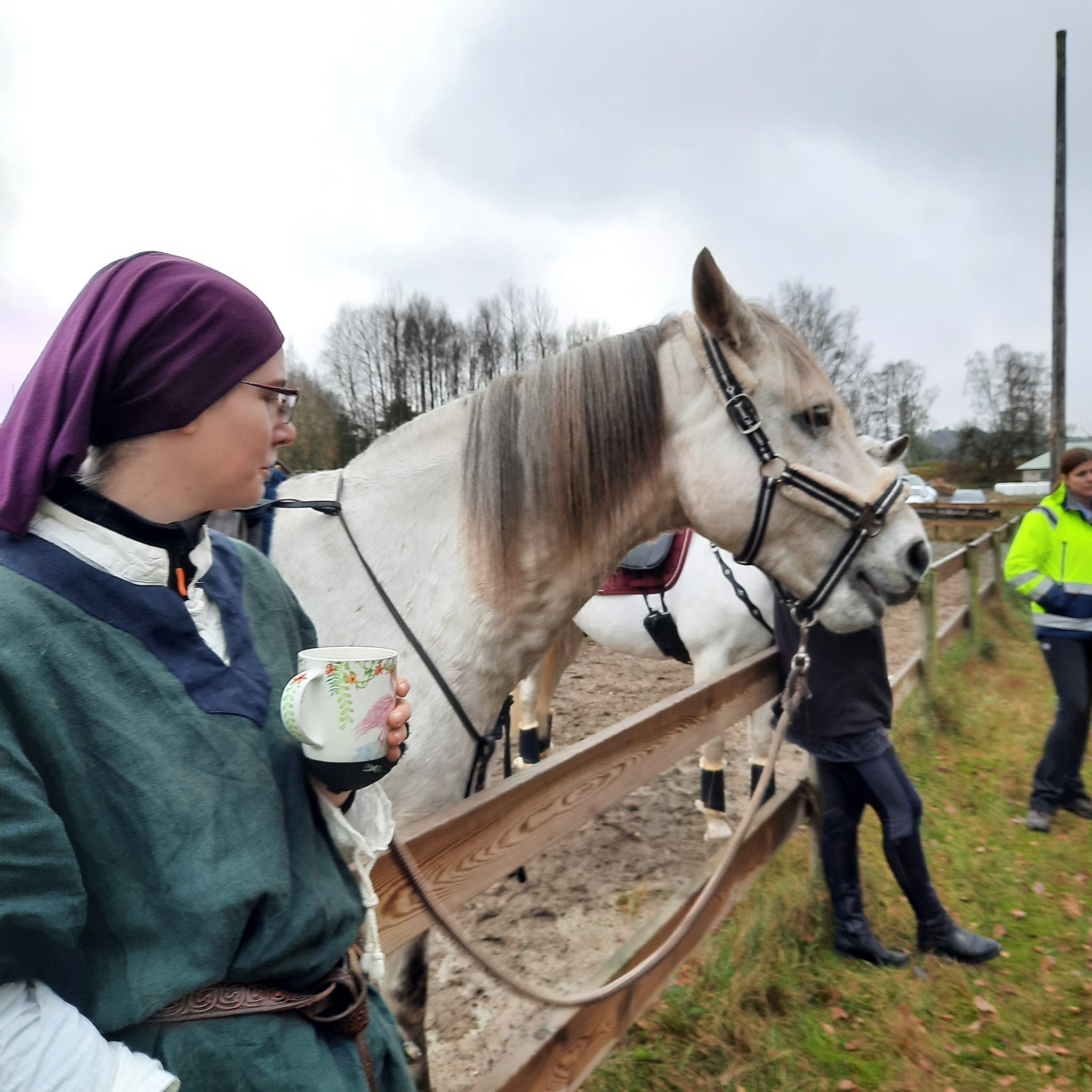 Träning Viskadalens Ridklubb
