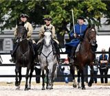 Uppvisning Heden  Gothenburg Horseshow
